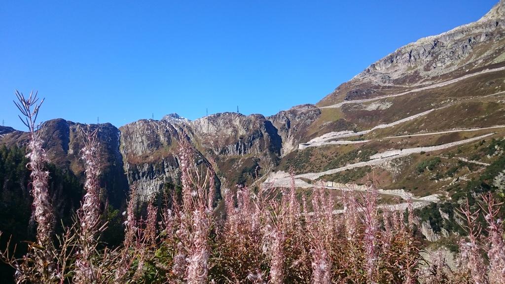 Hotel Garni Zimmermann Reith bei Kitzbühel Esterno foto