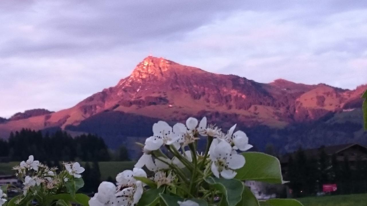 Hotel Garni Zimmermann Reith bei Kitzbühel Esterno foto